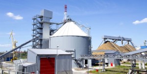 Biomass Power Generation Facilities,