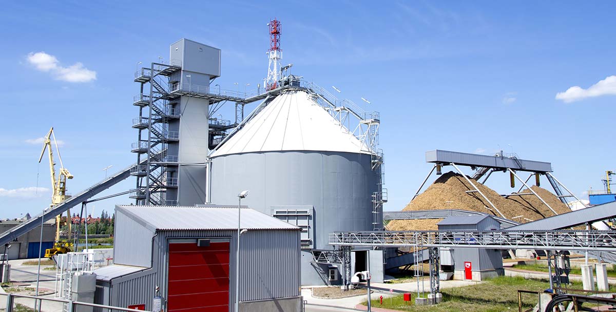 biomass pile power plant