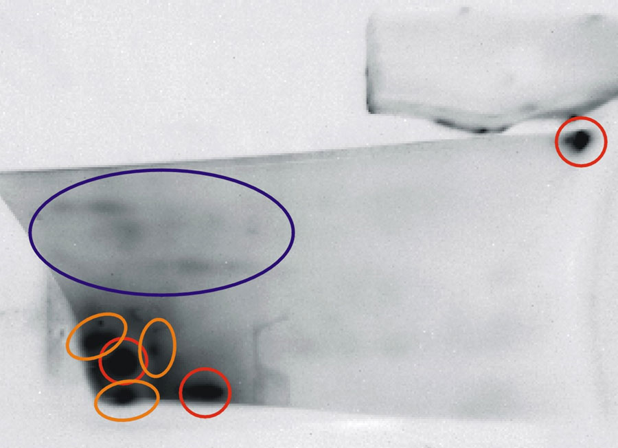 Thermal results image - front view of turbine blade with crack indications.